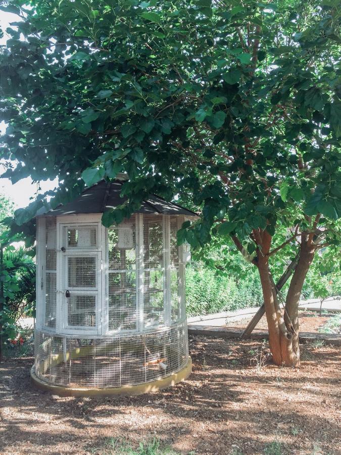 Agrilia Maison Razata ภายนอก รูปภาพ